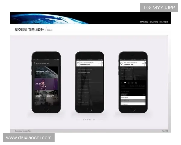 星空官网登录入口的安全性与用户体验分析