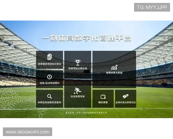 星空体育平台：打造全民健身新时代的多元体育生态系统